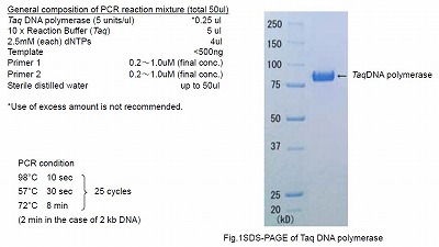 taq dna polymerase dntps with standard buffer cosmo bio co ltd