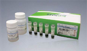 MagListo His-tagged Protein Purification Kit