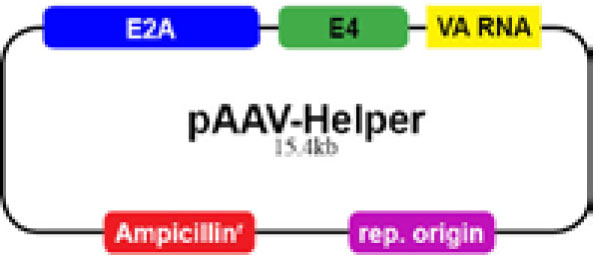pAAV-Helperベクター