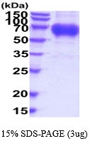 ATGP3523