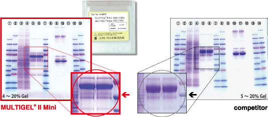 MULTIGEL II mini 4/20 (13W)（DCB-414879-5SHEET）（カテゴリ：分離