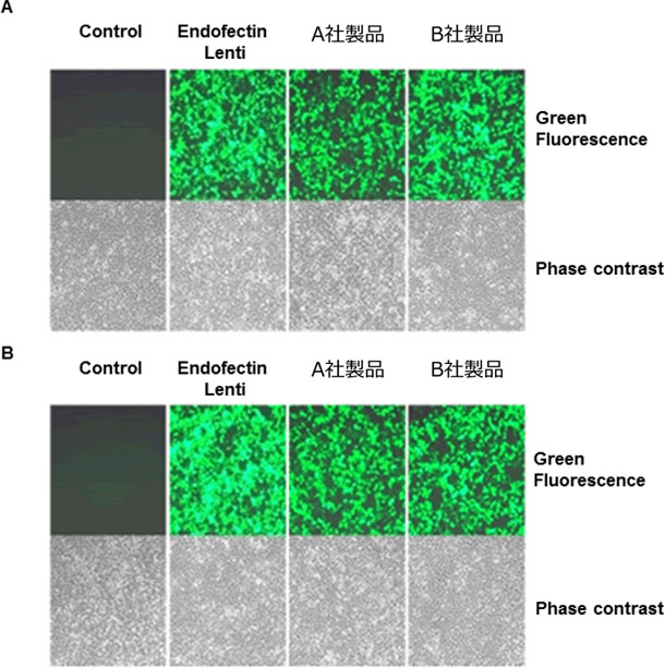 徹底網羅 トランスフェクションにおける化学的手法 生物学的手法 物理的手法まとめ Learning At The Bench