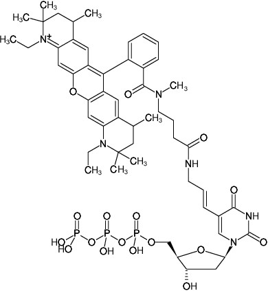 同等品検索の結果 | コスモ・バイオ株式会社