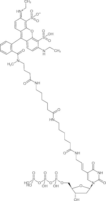 同等品検索の結果 | コスモ・バイオ株式会社