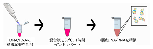 コスモ バイオ