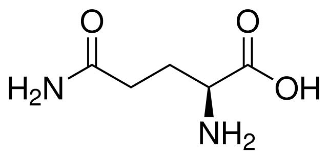 L Glutamine（MPB-194678-100G）（カテゴリ：培地、培養試薬・機材 
