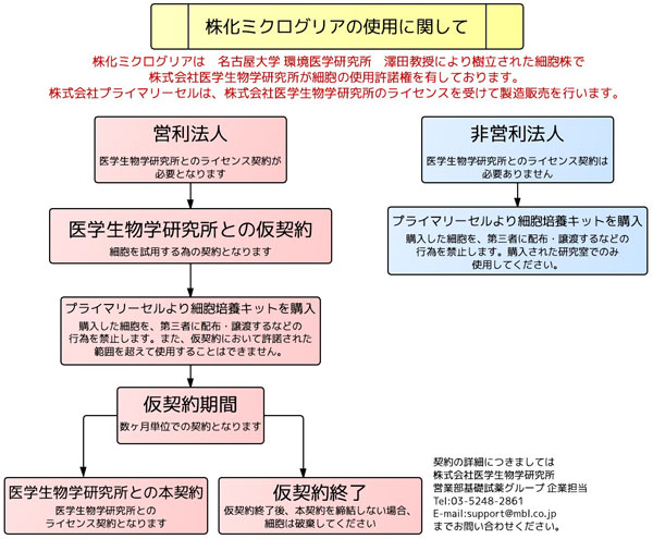 6 3 Microglia Cell Clone Culture Kit Pmc Cosnmg63 1kit カテゴリ 培地 培養試薬 機材 商品情報 コスモ バイオ株式会社