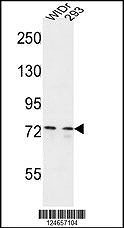 102-15767