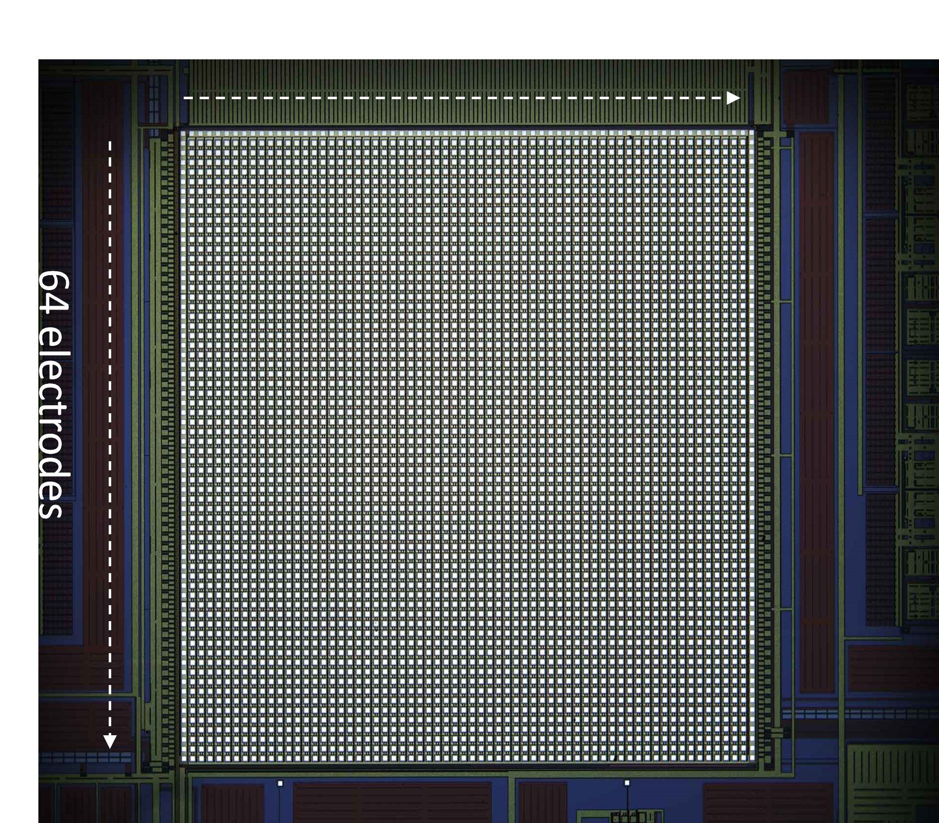 4096electrodes